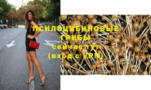 гидра Семикаракорск