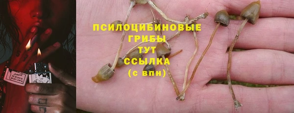 спайс Алексин