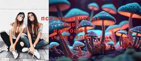 спиды Алзамай