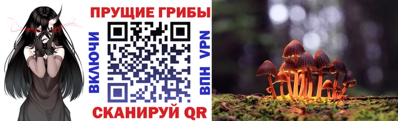 Псилоцибиновые грибы прущие грибы  блэк спрут онион  Куровское  хочу  